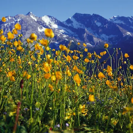 Finkenbergerhof Hotell