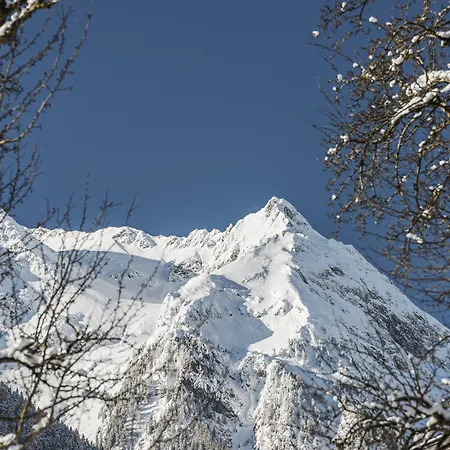 Finkenbergerhof فندق