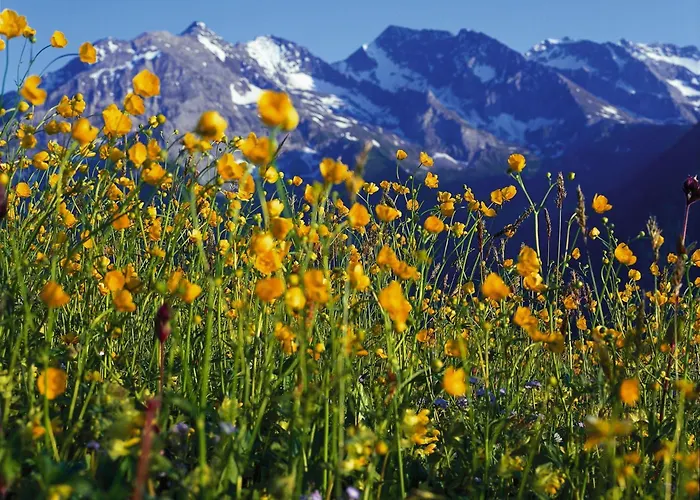 Finkenbergerhof Hotel