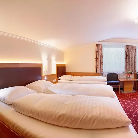 Hotel Finkenbergerhof 3*